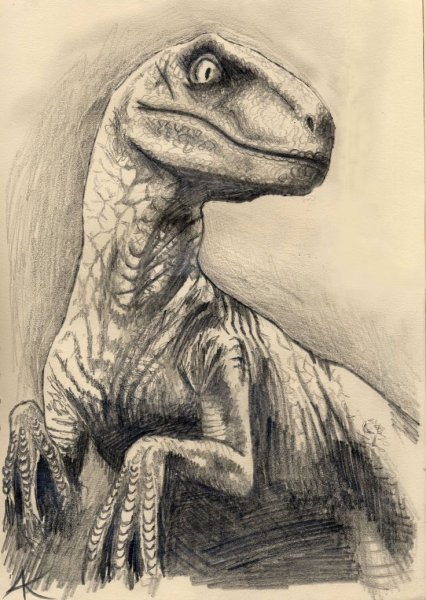 Dino Sketch Велоцирапторы
