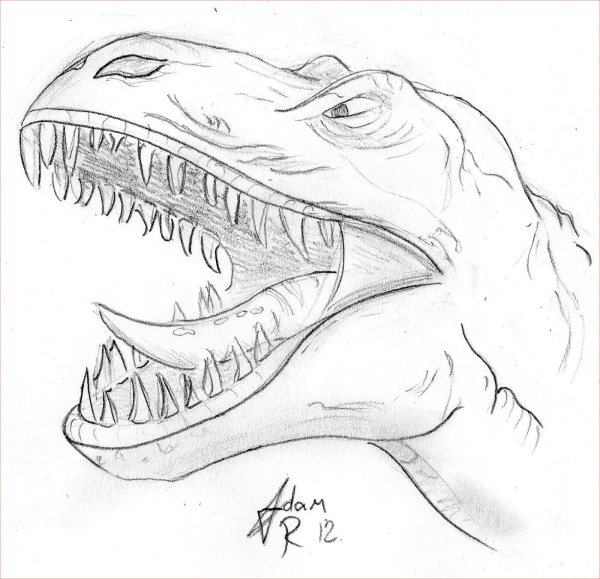 Динозавры для срисовки