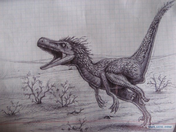 Динозавры карандашом