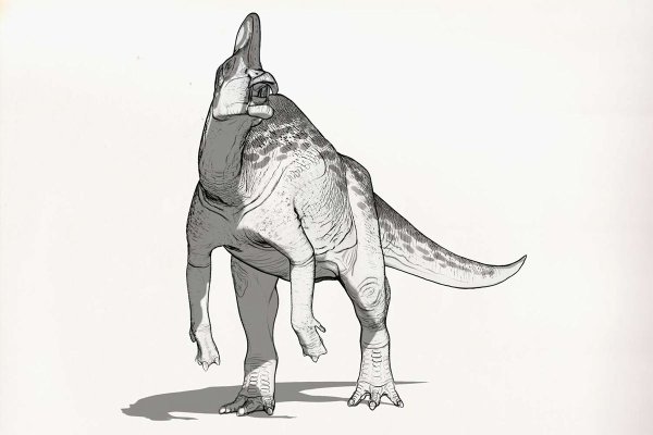 Скетчи динозавров