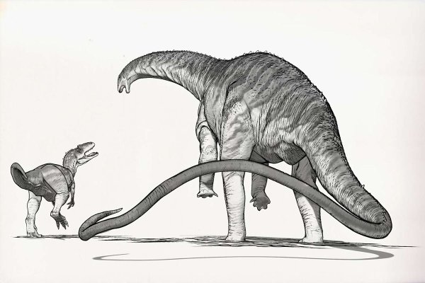 Динозавры картинки