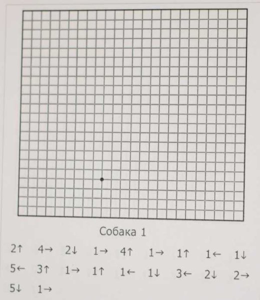 Графическое рисование по клеточкам