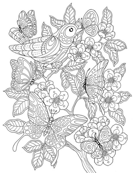 Раскраска антистресс