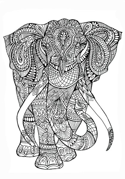 Раскраска антистресс