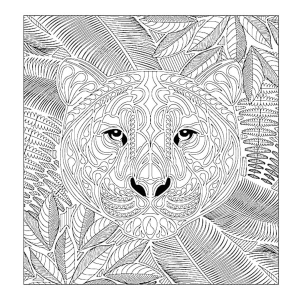 Арт терапия Сара Муцио