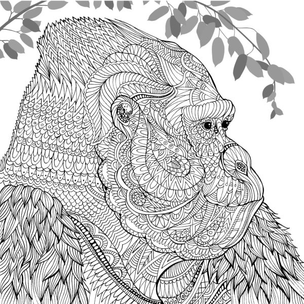 Раскраски сложные