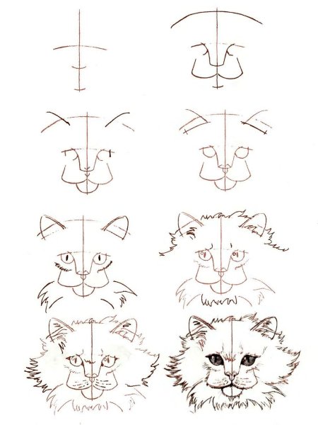 Пошаговые уроки рисования