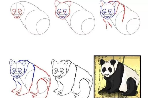 Поэтапное рисование панды