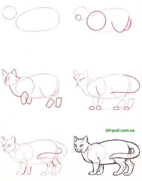 Уроки рисования кошек