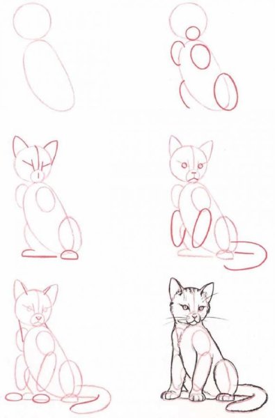 Поэтапное рисование карандашом