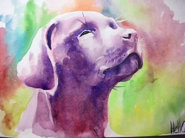 Интересные рисунки акварелью