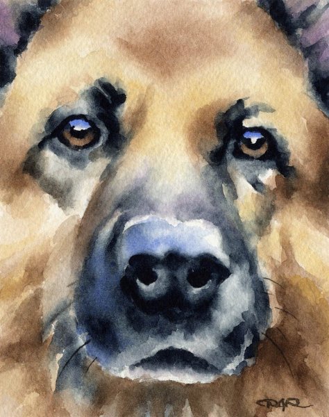 Собака акварелью