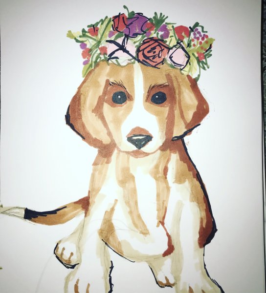 Скетч Бигль