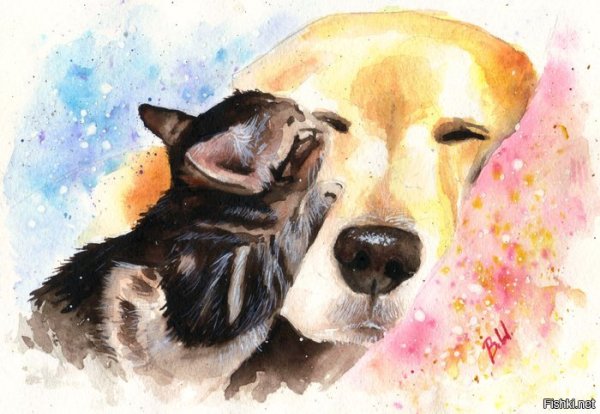 Собака акварелью для начинающих