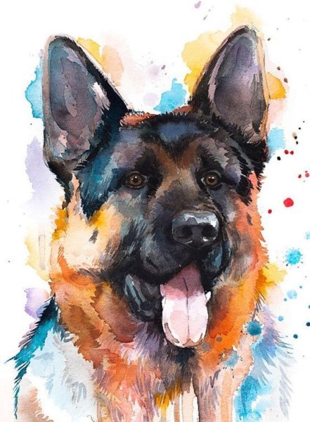 Собака акварелью
