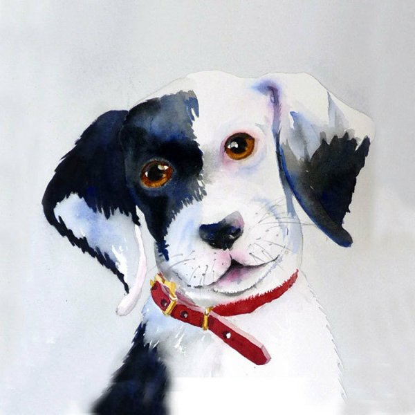 Собака гуашью