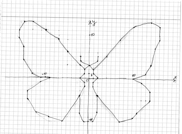 Осевая симметрия бабочка