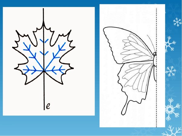 Симметрия рисунок