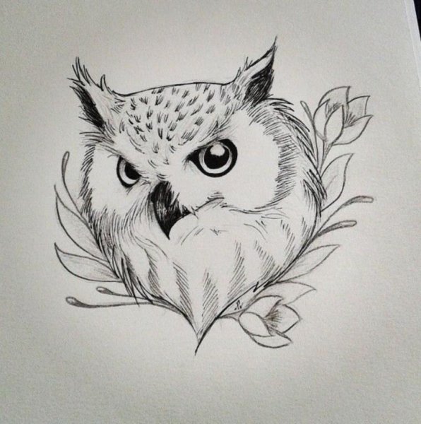 Сова эскиз