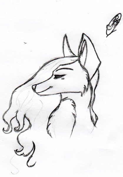 Рисунки для срисовки животные