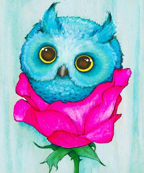 Совушка цветная