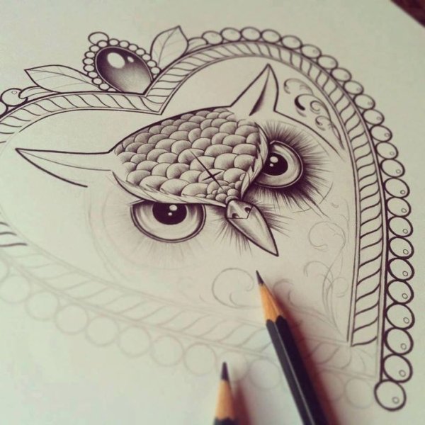 Эскиз милой Совы