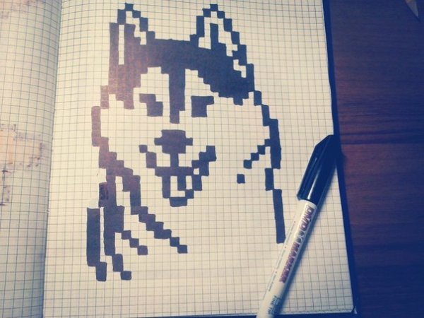 Рисунки по клеточкам чёрной ручкой