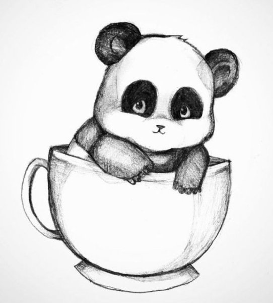 Красивые рисунки для срисовки