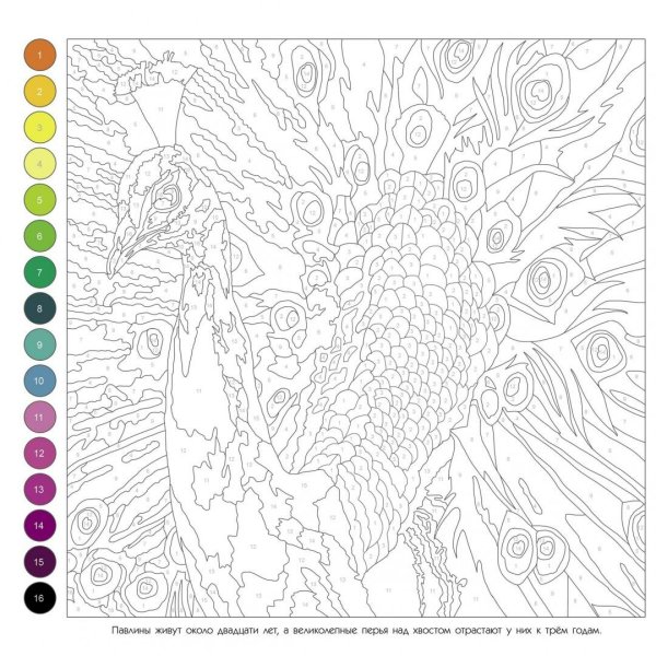 Очень сложная раскраска в мире