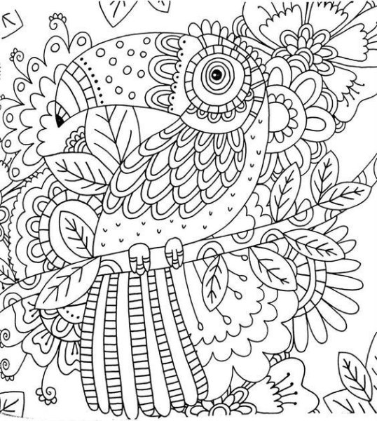 Раскраски сложные