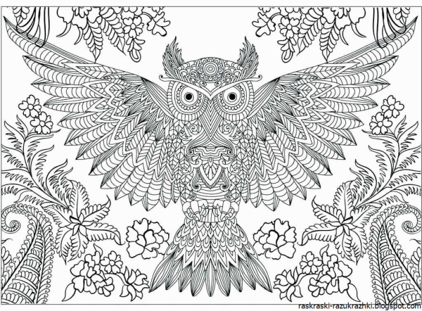 Раскраски для взрослых