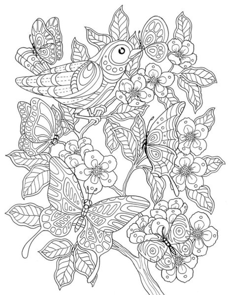 Тукан Мандала