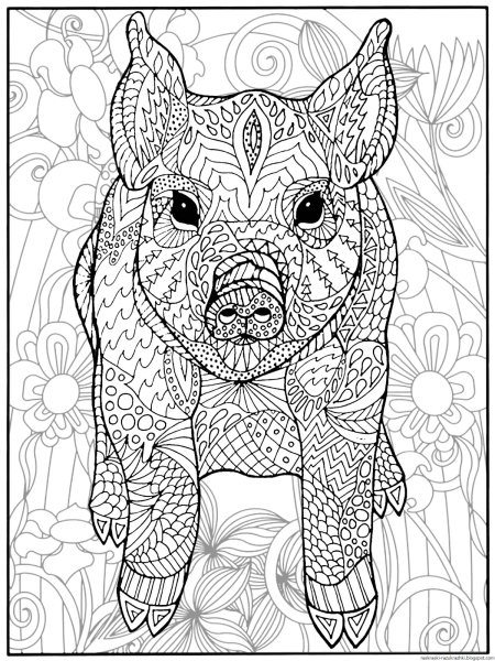 Раскраски животных антистресс