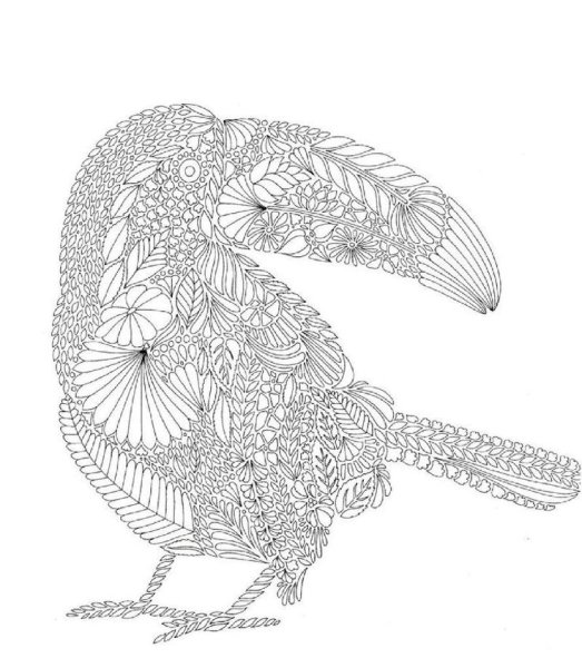 Милли Маротта в стране чудес