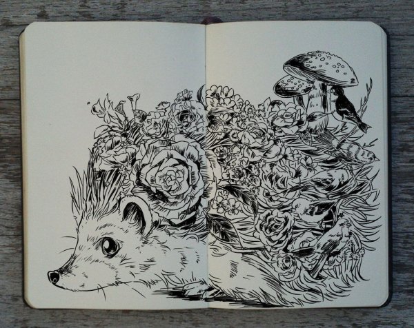 Графика скетчбук