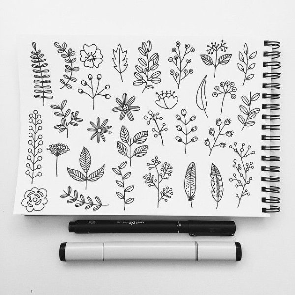 Цветы чёрной ручкой для скетчбука