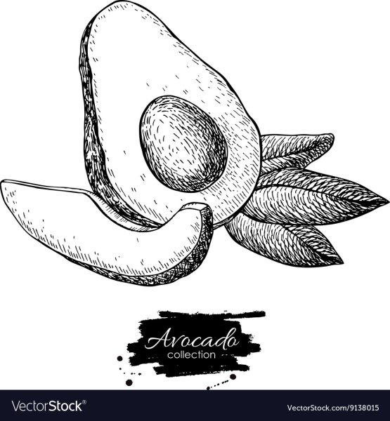 Раскраска авокадо