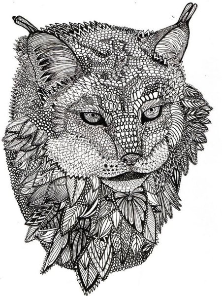 Раскраскаантистрес волк