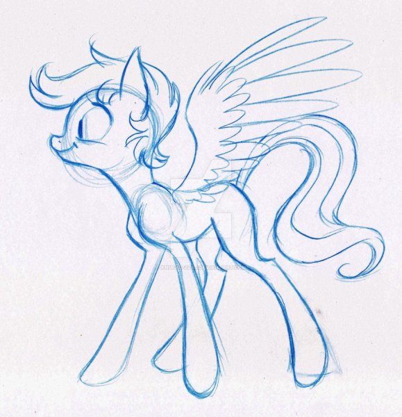 Пони Наброски