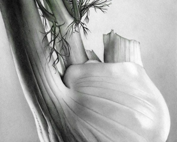 Красивые Наброски карандашом