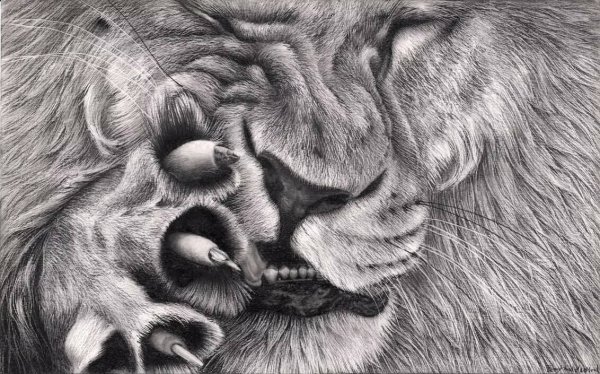 Интересные рисунки карандашом