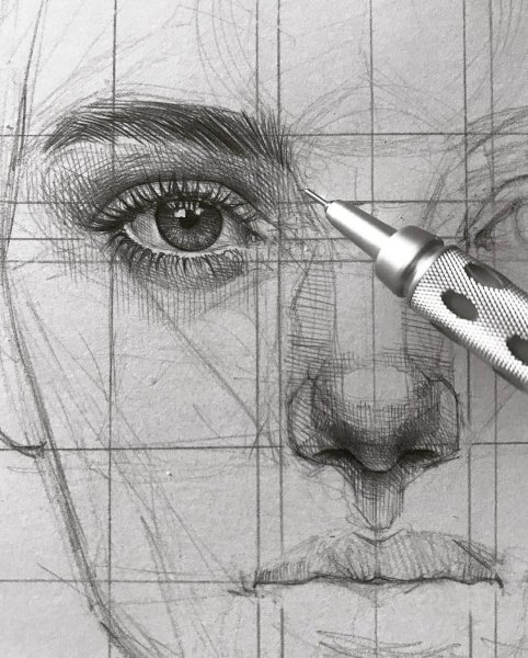 Рисунки цветов карандашом