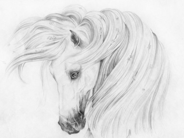 Агрессивные рисунки карандашом