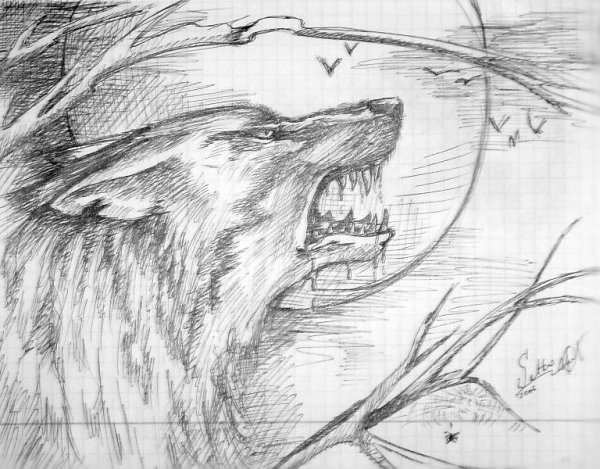 Красивые рисунки карандашом