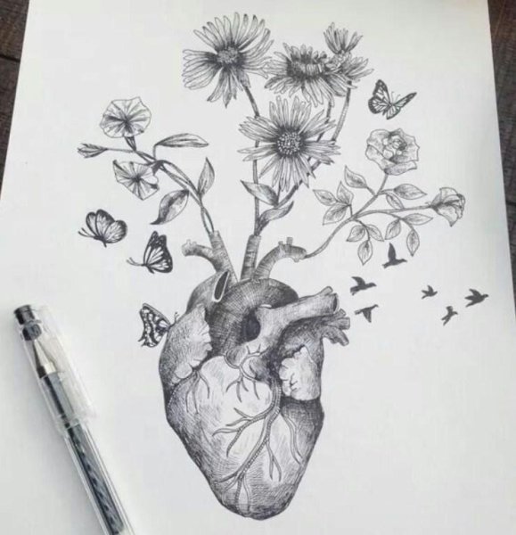 Рисование гелевыми ручками