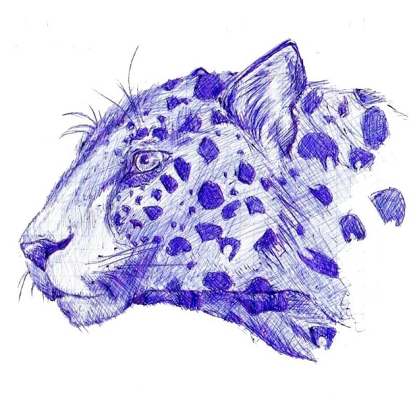 Необычные рисунки карандашом