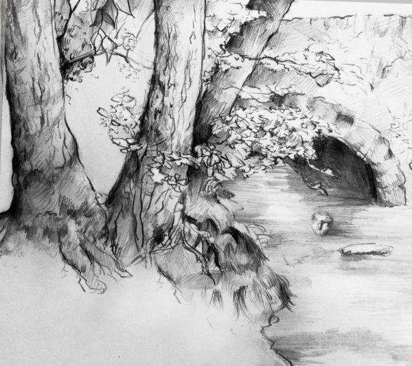 Арты природы карандашом