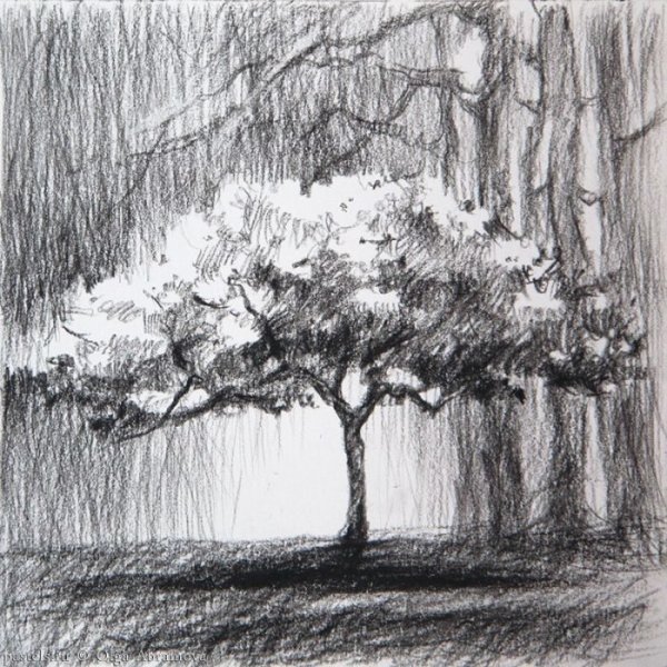 Дерево карандашом