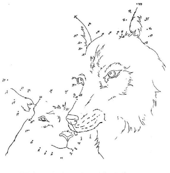 Рисование по точкам для детей сложные