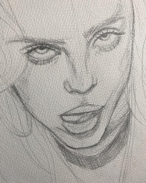 Портрет карандашом легкий